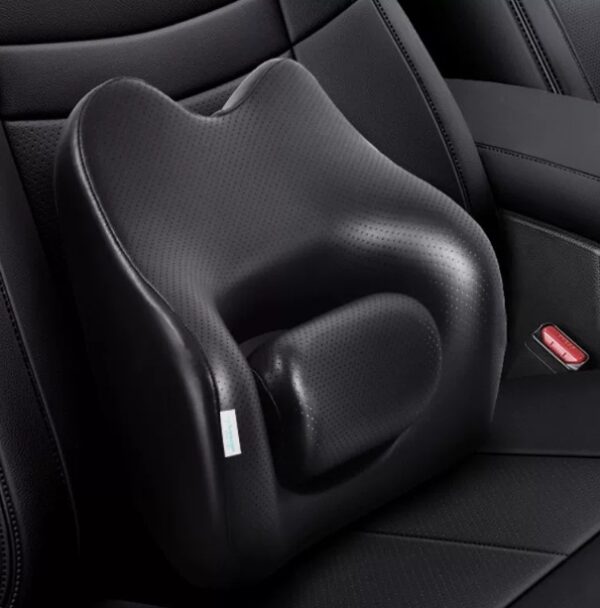 8230dbbb-96f8-4523-b708-ff78b6cff3b3_trans.jpeg Adjustable Car Lumbar Support – All-Season Memory Foam Back Cushion